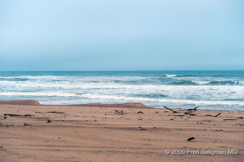 20090605_153135 D3 X1.jpg - The Atlantic coast line